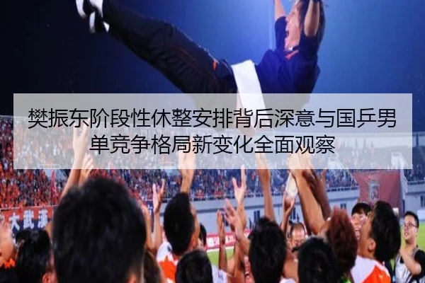 樊振东阶段性休整安排背后深意与国乒男单竞争格局新变化全面观察