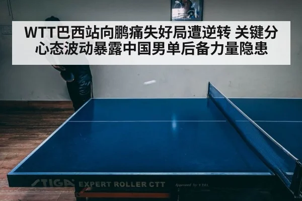 WTT巴西站向鹏痛失好局遭逆转 关键分心态波动暴露中国男单后备力量隐患